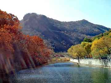 澳门天天开奖免费资料，力度控台